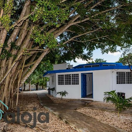 Villa Xtohil With Private Access To The Magic 7 Colors Lagoon Bacalar Esterno foto
