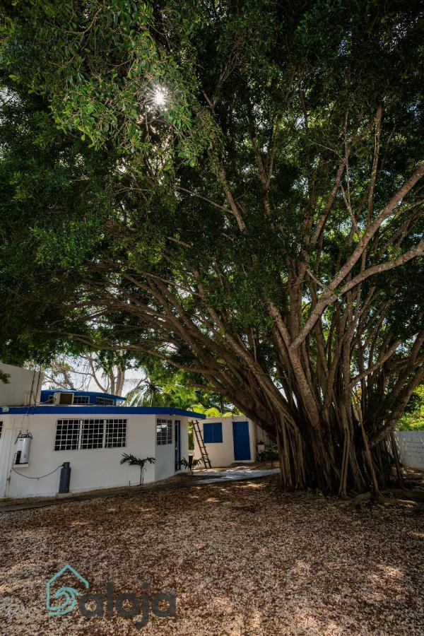 Villa Xtohil With Private Access To The Magic 7 Colors Lagoon Bacalar Esterno foto