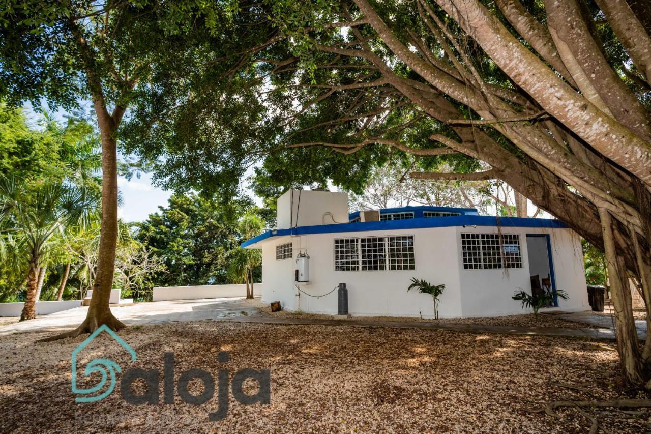 Villa Xtohil With Private Access To The Magic 7 Colors Lagoon Bacalar Esterno foto